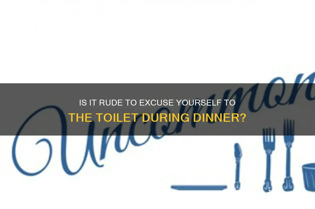 is it rude to go to the toilet during dinner