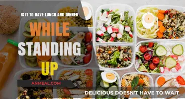 Standing Meals: Healthy Habit or Harmful Practice? Exploring Lunch and Dinner
