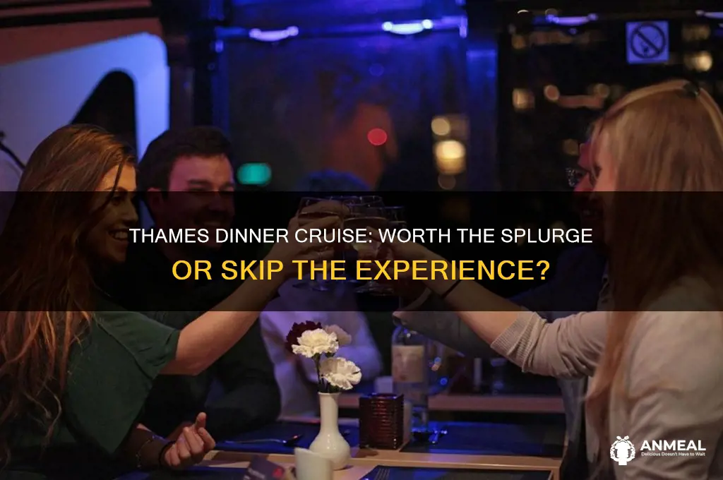 is it worth taking the dinner cruise on the thames