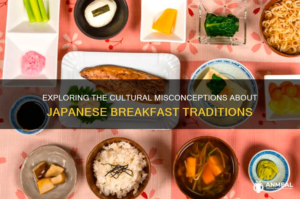 is japanese breakfast gay
