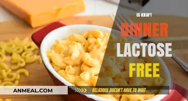 Is Kraft Dinner Lactose Free? A Comprehensive Guide for Cheese Lovers
