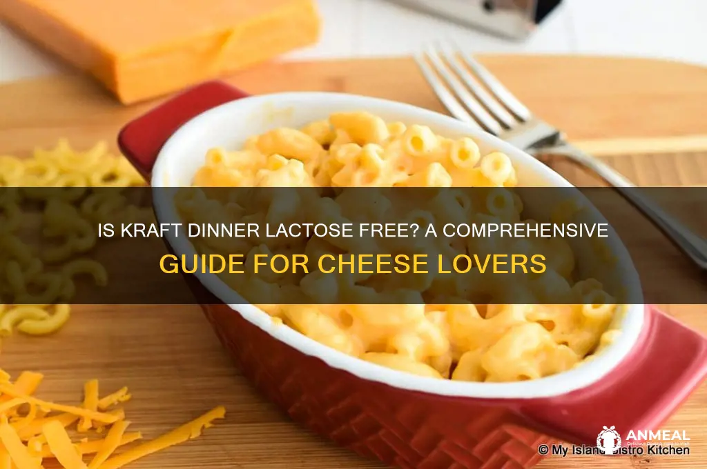 is kraft dinner lactose free