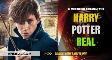 Kylo Ren and Harry Potter's Breakfast: Fact or Fiction?