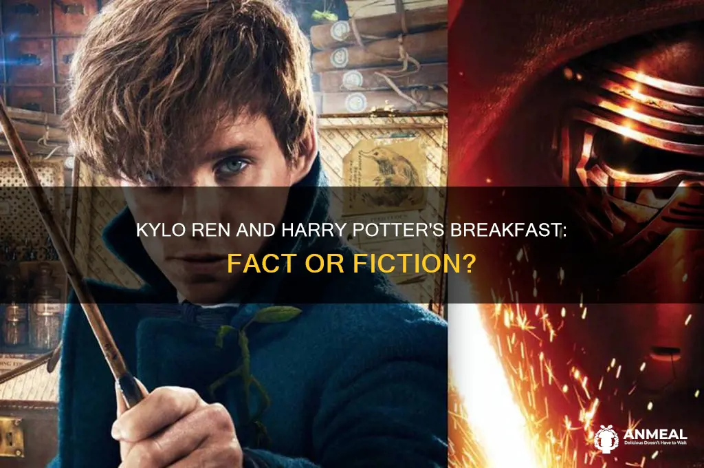 is kylo ren has breakfast with harry potter real