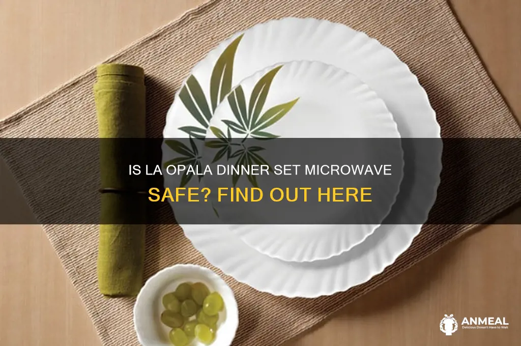 is la opala dinner set microwave safe