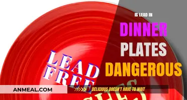 Lead in Dinner Plates: Uncovering the Hidden Health Risks