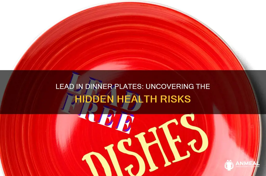 is lead in dinner plates dangerous