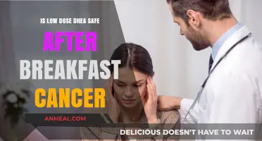 Is Low-Dose DHEA Safe Post-Breakfast for Cancer Patients?
