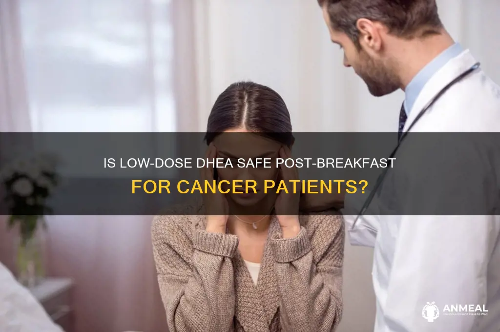 is low dose dhea safe after breakfast cancer