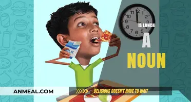 Exploring the Linguistic Lunch: A Noun or Not?