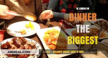 Lunch vs. Dinner: Which Meal Takes the Crown as Biggest?