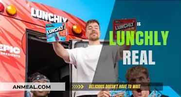 Exploring the Mystery: Is Lunchly a Reality or Fiction?