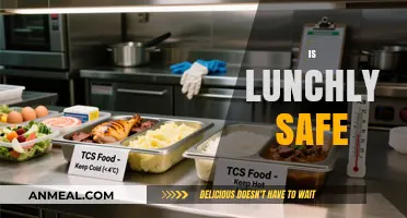 Exploring Lunchly's Safety: A Comprehensive Guide for Parents and Guardians