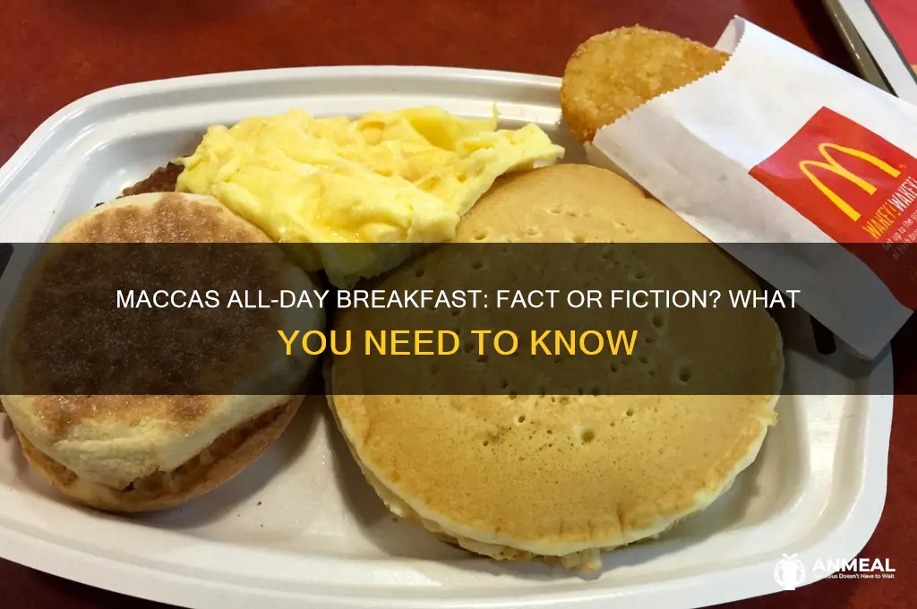 is maccas all day breakfast
