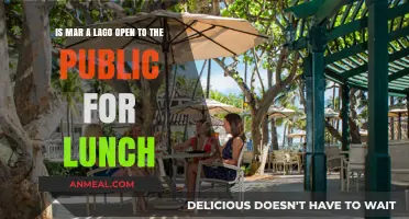 Exploring Mar-a-Lago: Public Access for Lunch Unveiled