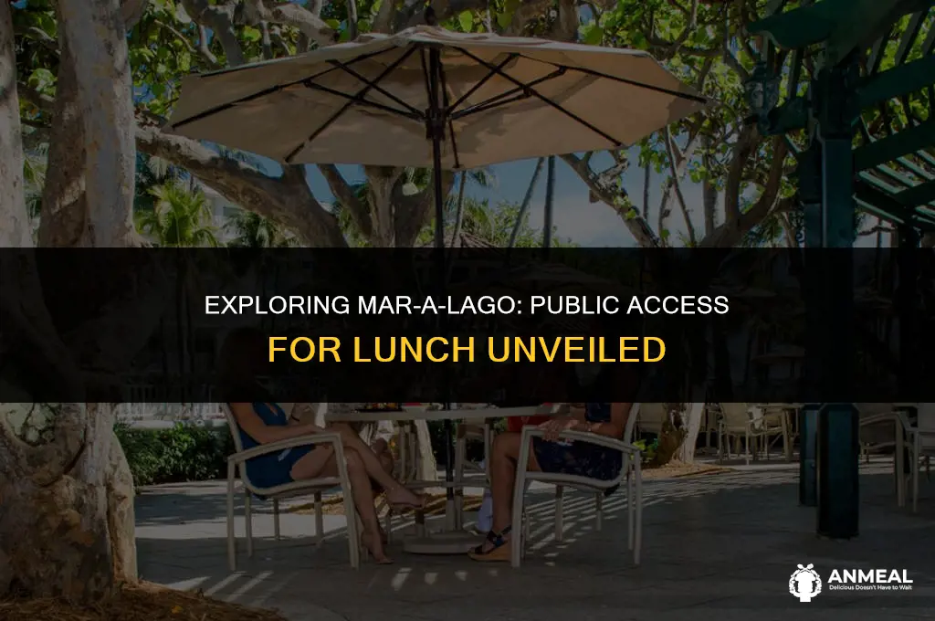 is mar a lago open to the public for lunch