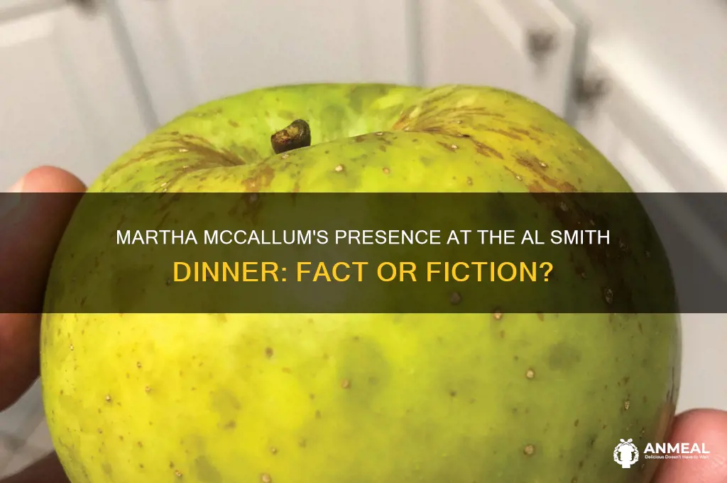 is martha mccallum at al smith dinner