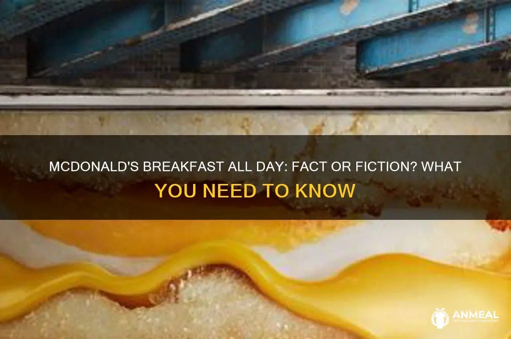 is mc donalds breakfast all day