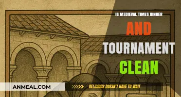 Medieval Times Dinner and Tournament: Cleanliness and Hygiene Explored