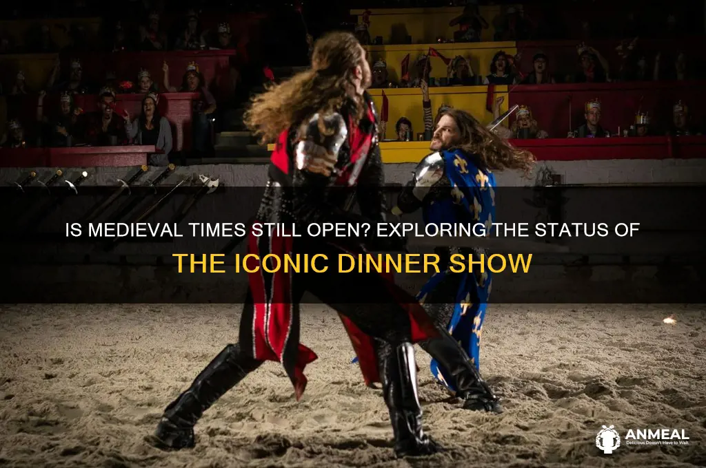is medieval times still open