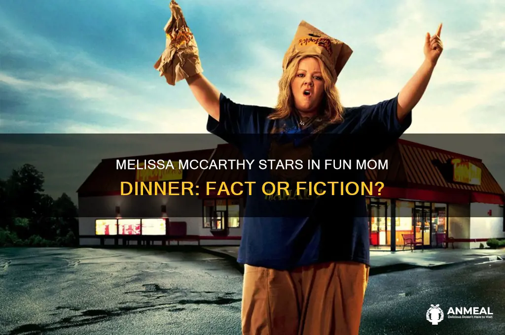 is melissa mccarthy in fun mom dinner