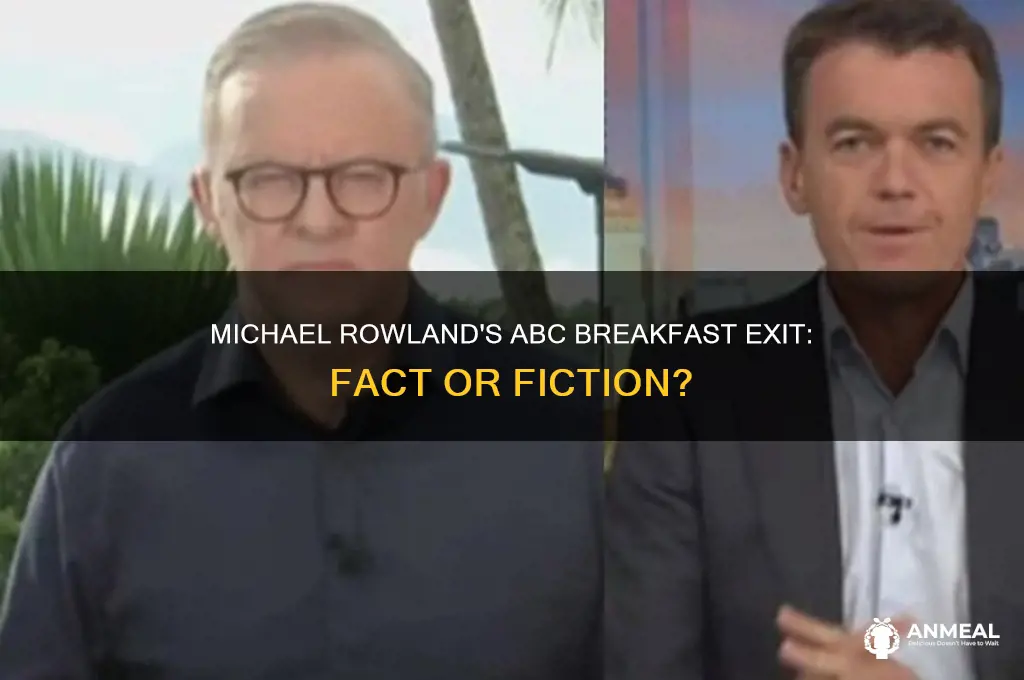 is michael rowland leaving abc breakfast