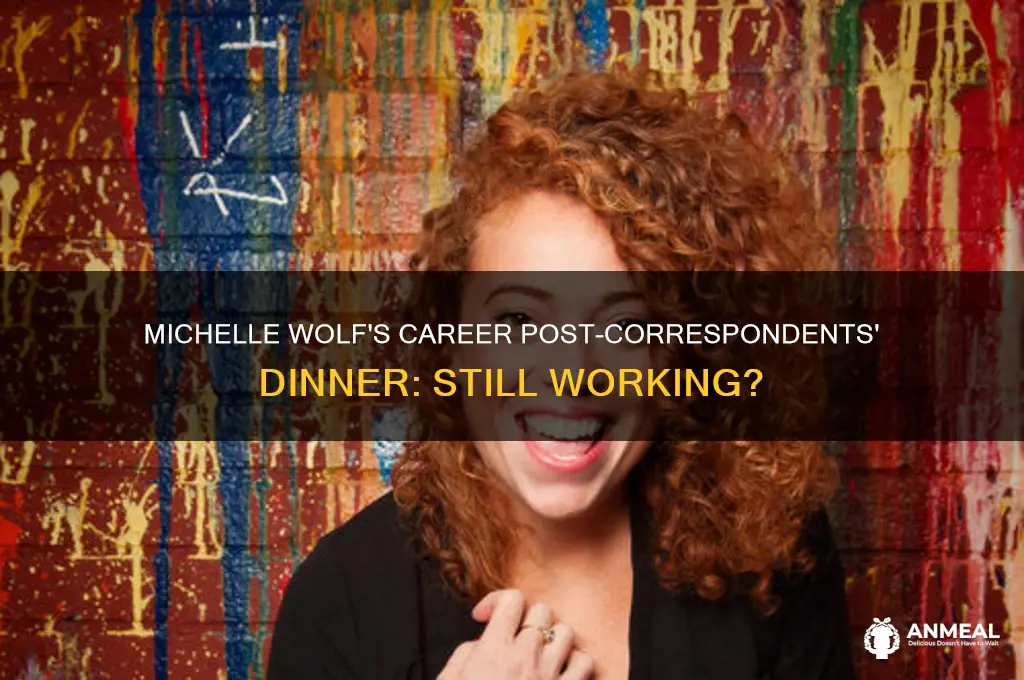 is michelle wolf still working after correspondants dinner