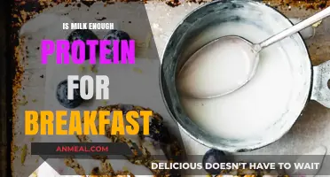Is Milk Enough Protein for Breakfast? Exploring Nutritional Needs