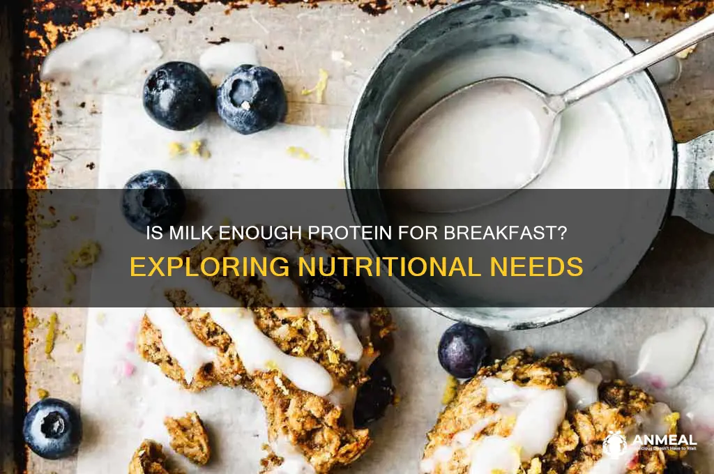 is milk enough protein for breakfast