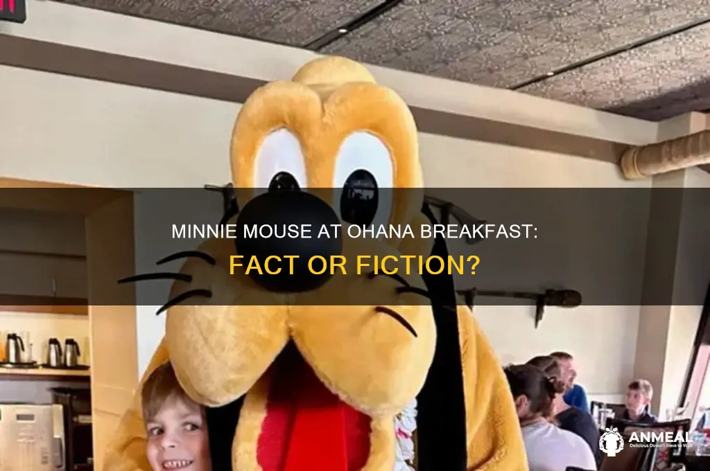 is minnie at the ohana breakfast