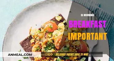 Why Morning Breakfast is Crucial for Energy and Productivity