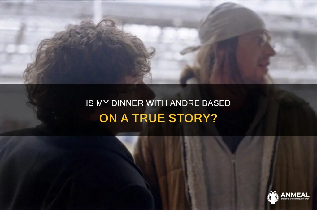 is my dinner with andre based on a true story