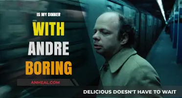 Is My Dinner with Andre Boring? A Reevaluation of Cinematic Brilliance