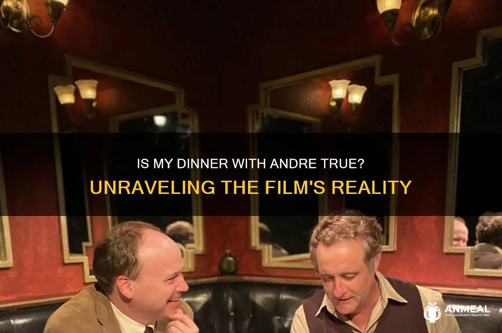is my dinner with andre true
