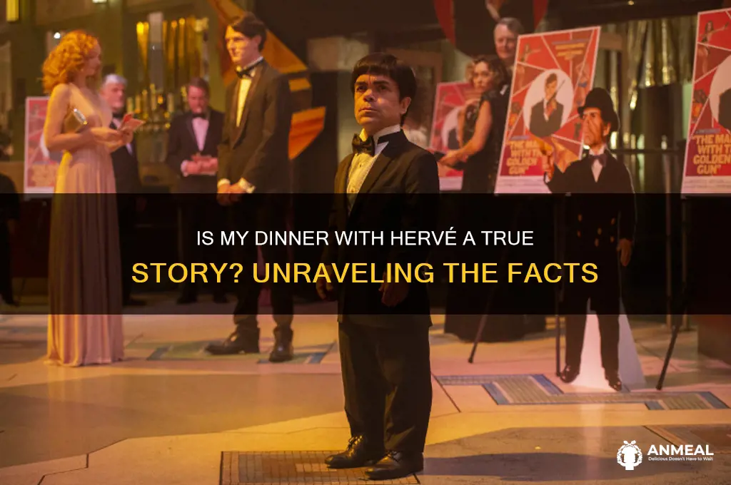 is my dinner with herve a true story