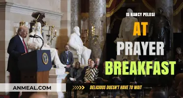 Nancy Pelosi's Presence at the National Prayer Breakfast: Insights and Reactions