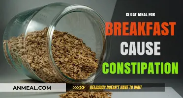 Oatmeal for Breakfast: Does It Cause Constipation or Relieve It?