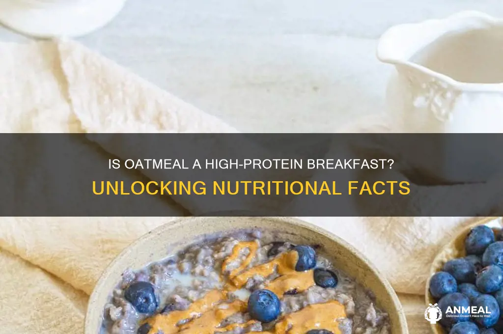 is oatmeal a high protein breakfast
