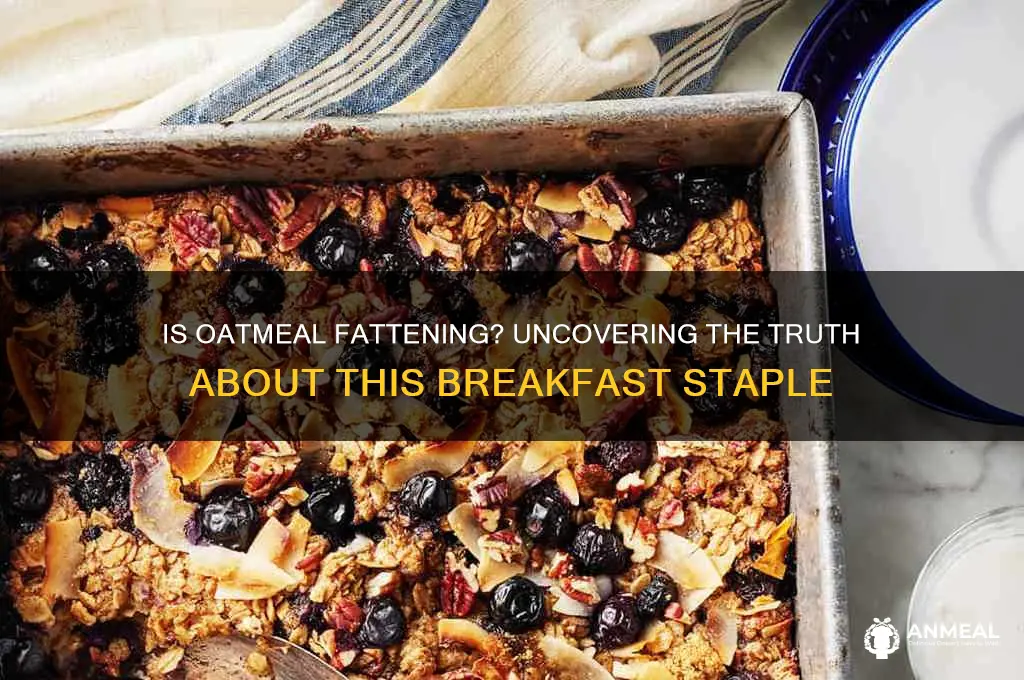 is oatmeal fattening for breakfast
