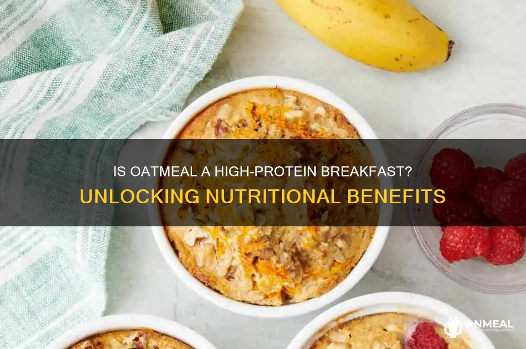 is oatmeal high protein breakfast