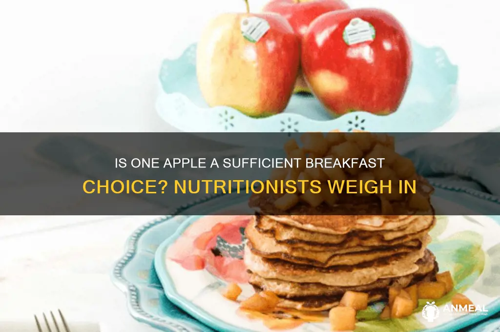 is one apple enough for breakfast