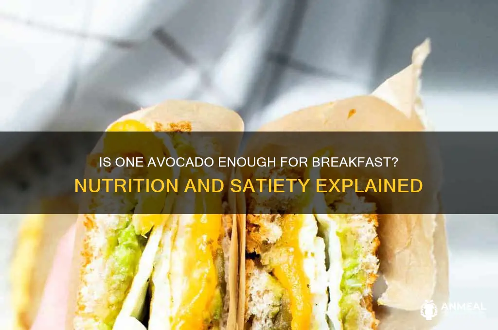 is one avocado enough for breakfast
