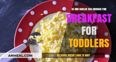 One Boiled Egg for Toddler Breakfast: Sufficient or Not Enough?