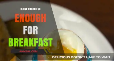 Is One Boiled Egg a Sufficient Breakfast Choice? Let's Explore
