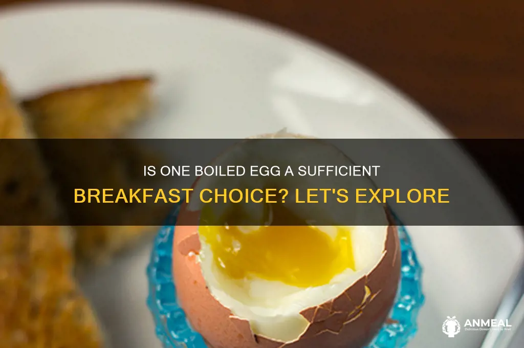 is one boiled egg enough for breakfast