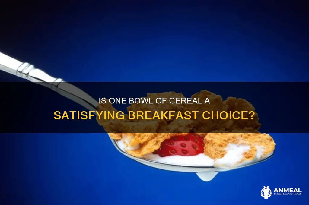 is one bowl of cereal enough for breakfast