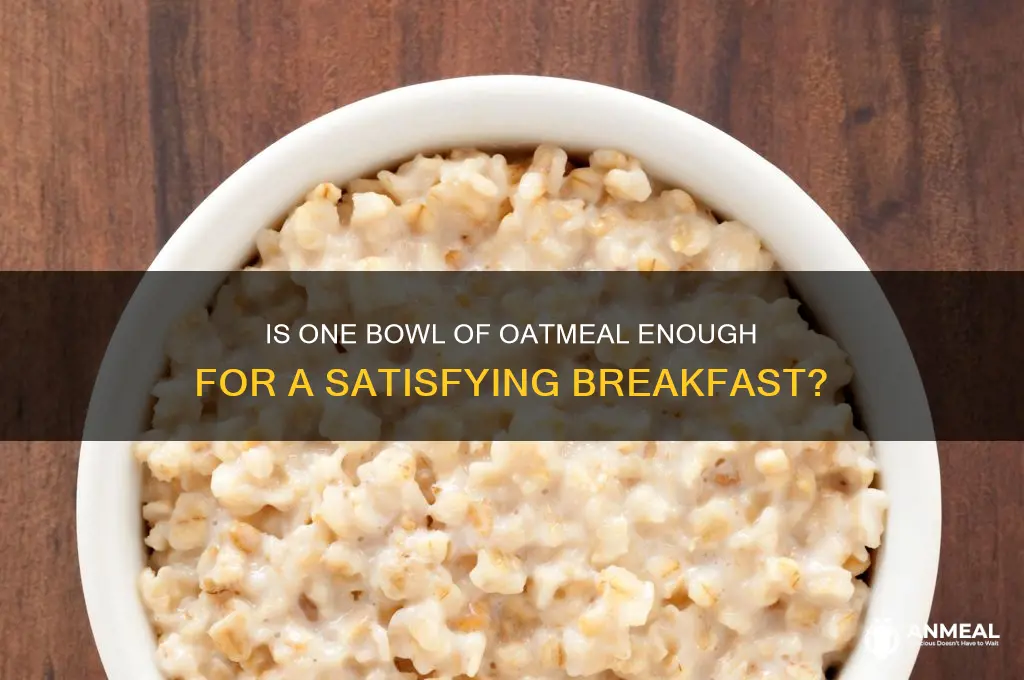 is one bowl of oatmeal enough for breakfast