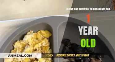 Is One Egg a Sufficient Breakfast for Your 1-Year-Old?