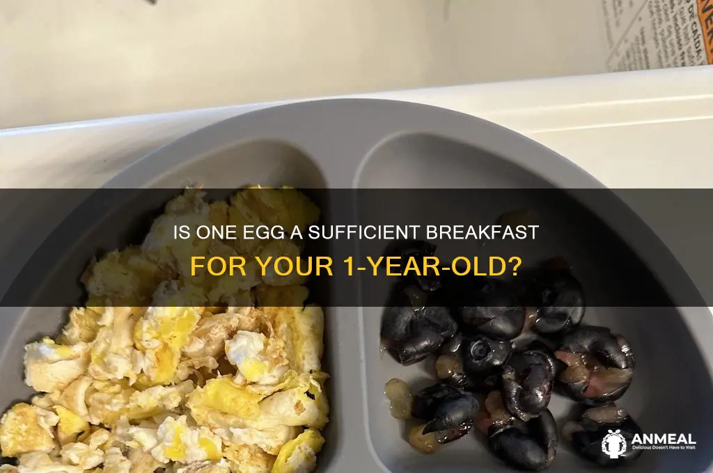 is one egg enough for breakfast for 1 year old