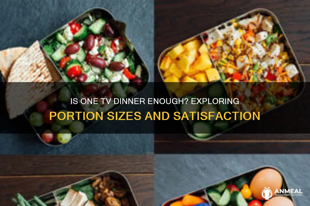 is one tv dinner enough for you